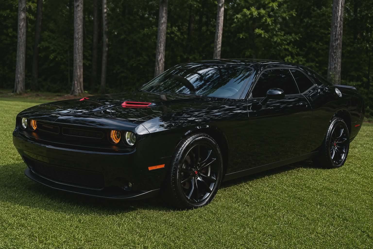 Freshly detailed black car with a deep, glossy finish